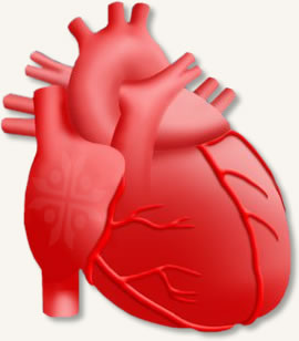 Cardiology Images