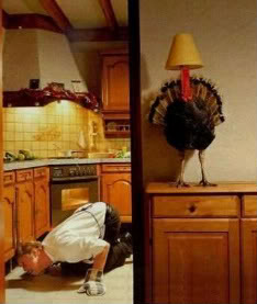 thanksgiving_funny_picture_07