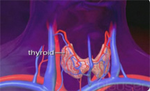 thyroidimage